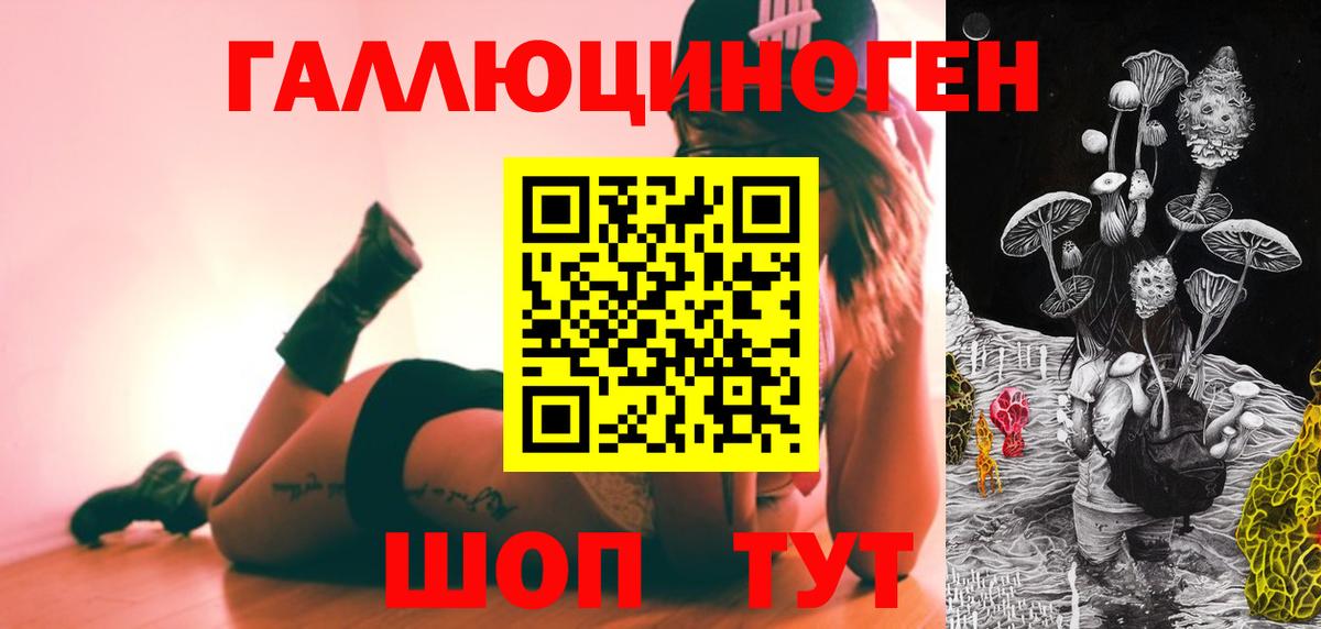 Псилоцибиновые грибы Psilocybe  Вход с VPN  Заречный 