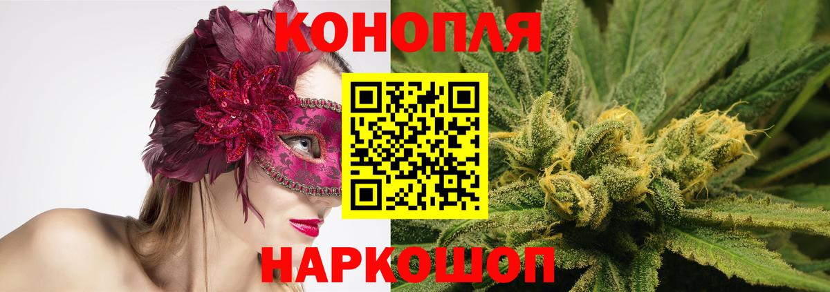 Бошки марихуана конопля  Вход с VPN  Заречный  Марихуана тримм  Канабис конопля 